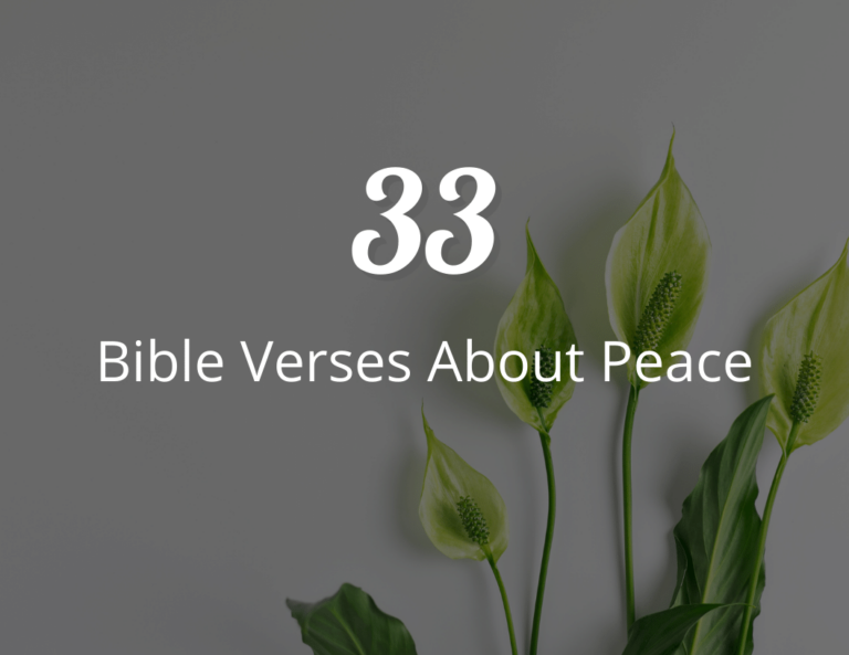 33 Bible Verses About Peace To Help Finding Calm in Chaos